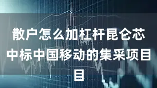 散户怎么加杠杆昆仑芯中标中国移动的集采项目